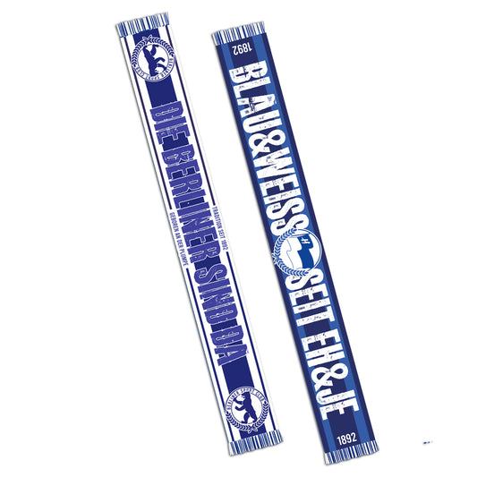 Berliner sind da - Seidenschal